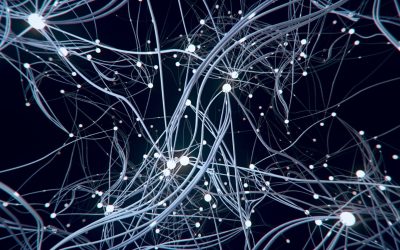 Formation IA : Quand l&rsquo;Intelligence Artificielle détermine votre avenir professionnel